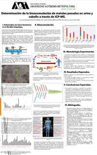 infografia